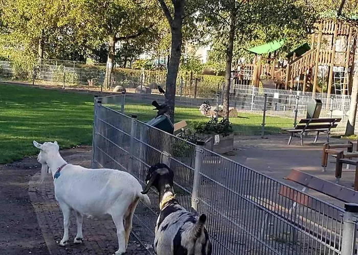 شقة 115 M2 With Garden 200m From The لاهاي