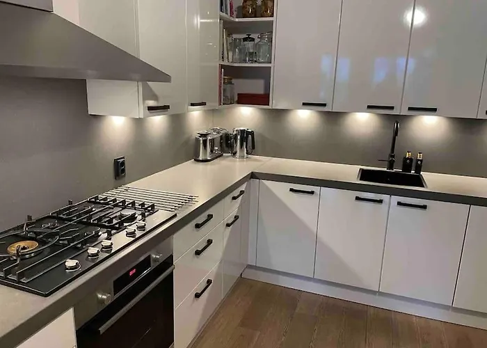 115 M2 With Garden 200m From The Χάγη