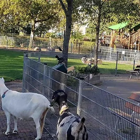 Appartement 115 M2 With Garden 200m From The Den Haag