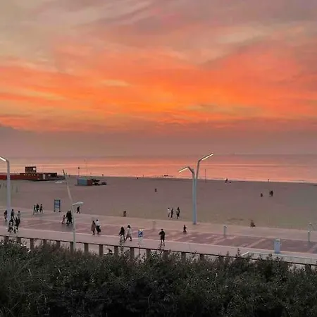 115 M2 With Garden 200m From The Appartement